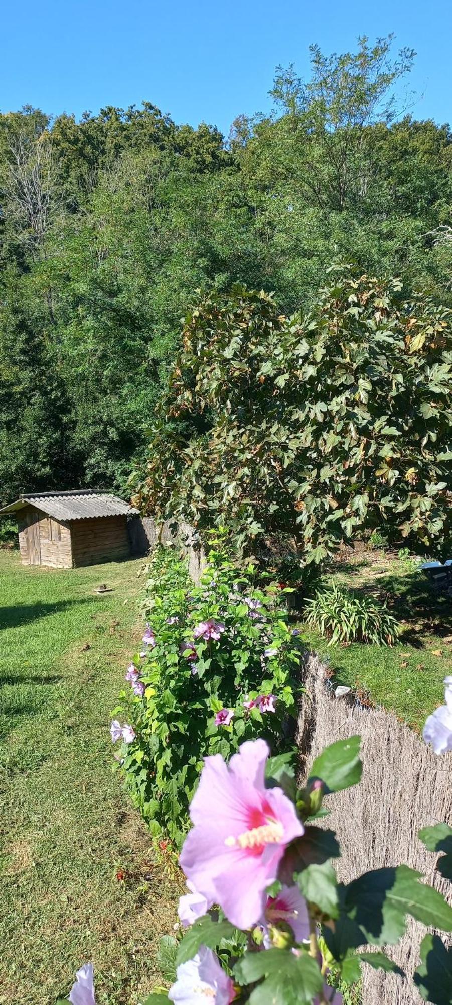 La Casa Bed&Breakfast Entree Independante 26M2 Calme Proche De Tout Wifi Parking Prive Jardin Terrasse Urrugne Exterior foto